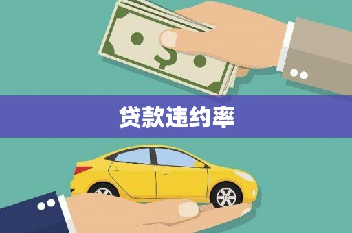 宁夏贷款违约率