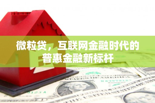 宁夏微粒贷，互联网金融时代的普惠金融新标杆