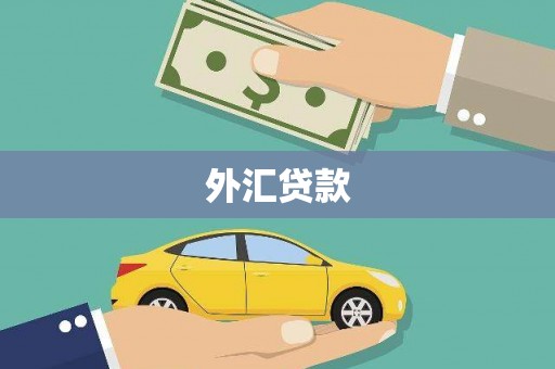 宁夏外汇贷款