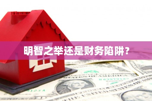 宁夏明智之举还是财务陷阱？