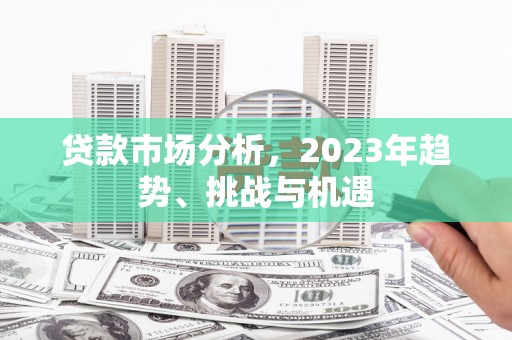 宁夏贷款市场分析，2023年趋势、挑战与机遇