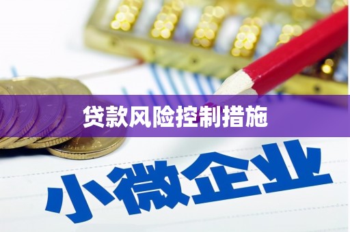 宁夏贷款风险控制措施