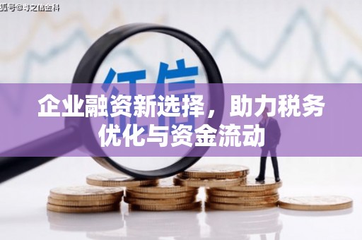 宁夏企业融资新选择，助力税务优化与资金流动