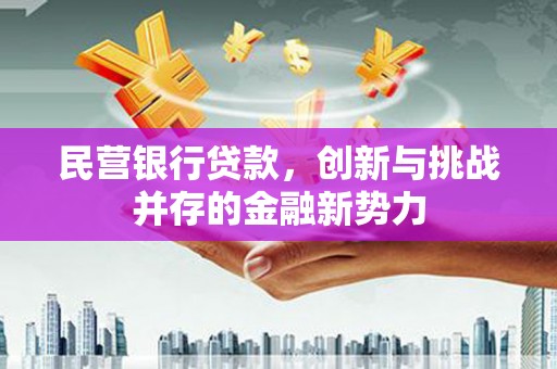 宁夏民营银行贷款，创新与挑战并存的金融新势力