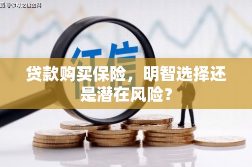 宁夏贷款购买保险，明智选择还是潜在风险？