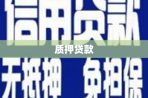 宁夏质押贷款