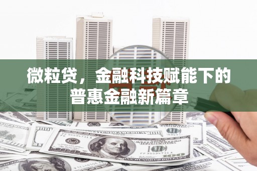 宁夏微粒贷，金融科技赋能下的普惠金融新篇章