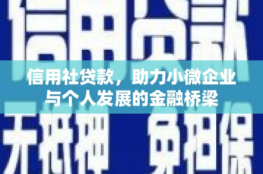 宁夏信用社贷款，助力小微企业与个人发展的金融桥梁