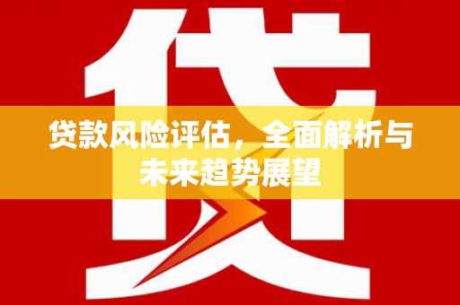 宁夏贷款风险评估，全面解析与未来趋势展望