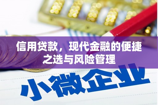 宁夏信用贷款，现代金融的便捷之选与风险管理