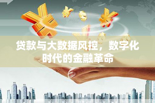 宁夏贷款与大数据风控，数字化时代的金融革命