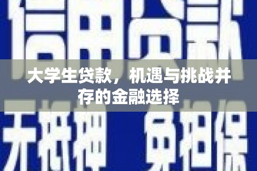 宁夏大学生贷款，机遇与挑战并存的金融选择
