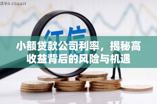 宁夏小额贷款公司利率，揭秘高收益背后的风险与机遇