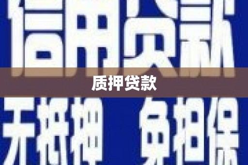 宁夏质押贷款