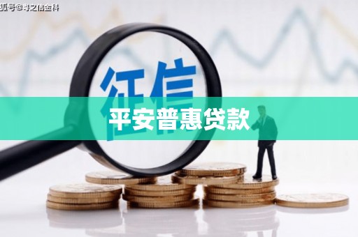 宁夏平安普惠贷款