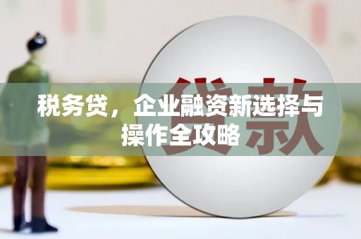 宁夏税务贷，企业融资新选择与操作全攻略