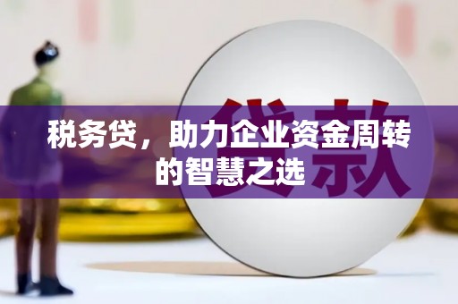 宁夏税务贷，助力企业资金周转的智慧之选
