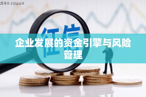 宁夏企业发展的资金引擎与风险管理