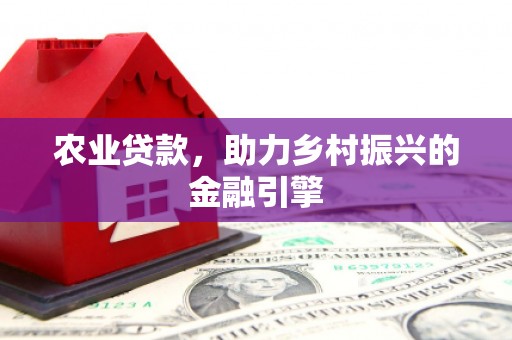 宁夏农业贷款，助力乡村振兴的金融引擎