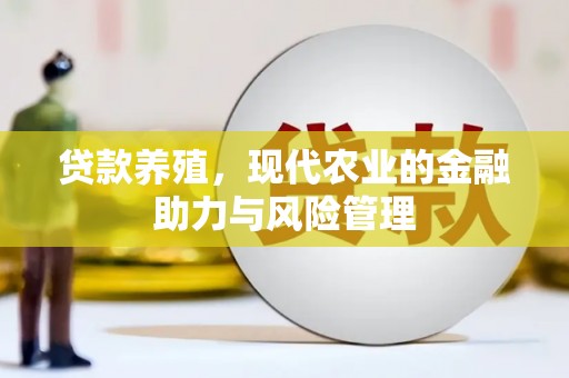 宁夏贷款养殖，现代农业的金融助力与风险管理