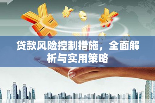 宁夏贷款风险控制措施，全面解析与实用策略