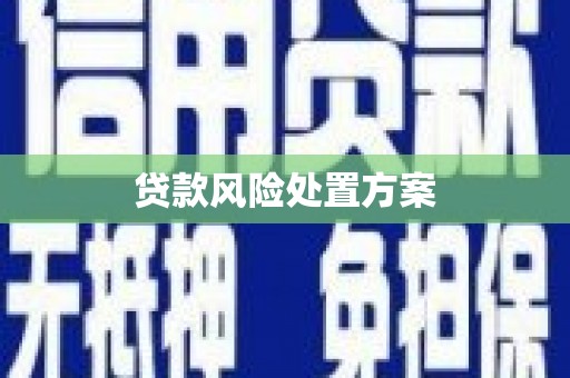宁夏贷款风险处置方案