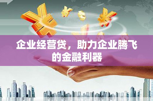 宁夏企业经营贷，助力企业腾飞的金融利器