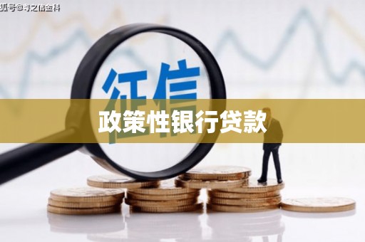 宁夏政策性银行贷款