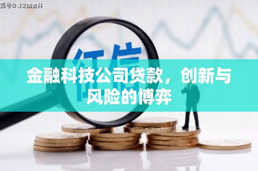 宁夏金融科技公司贷款，创新与风险的博弈
