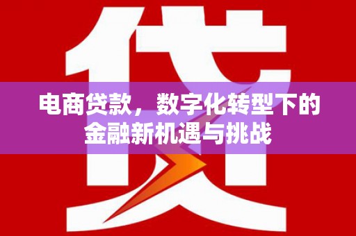 宁夏电商贷款，数字化转型下的金融新机遇与挑战