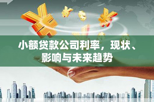 宁夏小额贷款公司利率，现状、影响与未来趋势