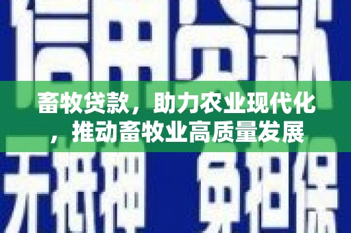 宁夏畜牧贷款，助力农业现代化，推动畜牧业高质量发展