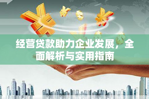 宁夏经营贷款助力企业发展，全面解析与实用指南