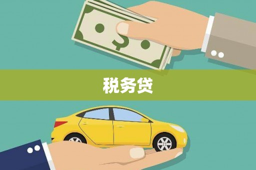 宁夏税务贷
