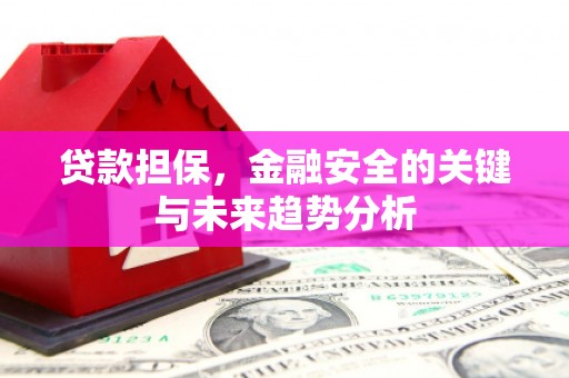 宁夏贷款担保，金融安全的关键与未来趋势分析