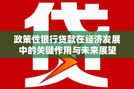 宁夏政策性银行贷款在经济发展中的关键作用与未来展望