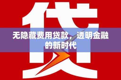 宁夏无隐藏费用贷款，透明金融的新时代