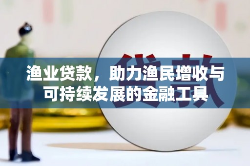 宁夏渔业贷款，助力渔民增收与可持续发展的金融工具