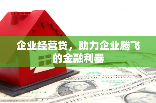宁夏企业经营贷，助力企业腾飞的金融利器