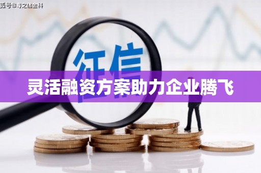 宁夏灵活融资方案助力企业腾飞