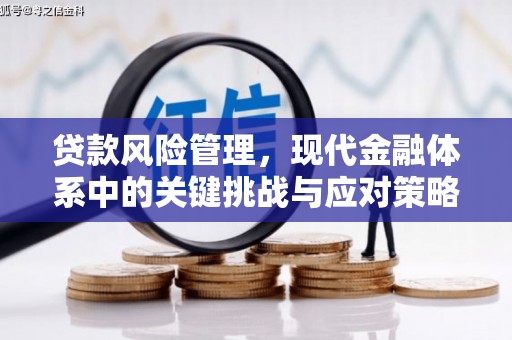 宁夏贷款风险管理，现代金融体系中的关键挑战与应对策略