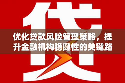 宁夏优化贷款风险管理策略，提升金融机构稳健性的关键路径