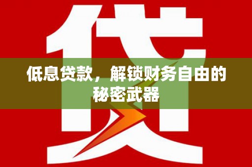 宁夏低息贷款，解锁财务自由的秘密武器