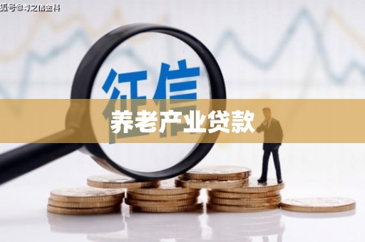 宁夏养老产业贷款