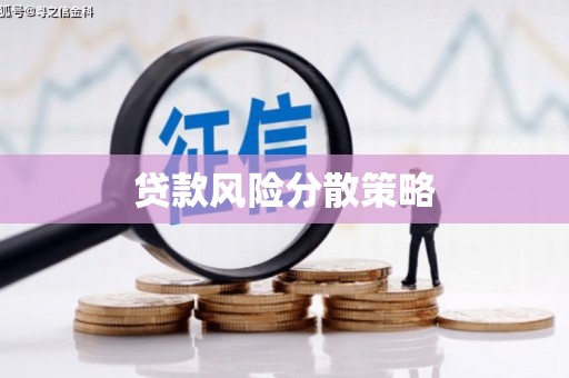 宁夏贷款风险分散策略