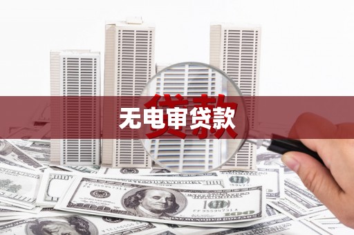宁夏无电审贷款