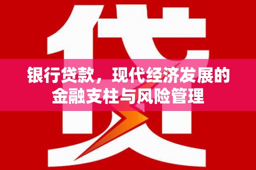 宁夏银行贷款，现代经济发展的金融支柱与风险管理