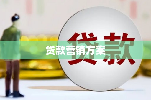 宁夏贷款营销方案