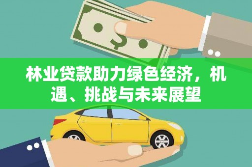 宁夏林业贷款助力绿色经济，机遇、挑战与未来展望