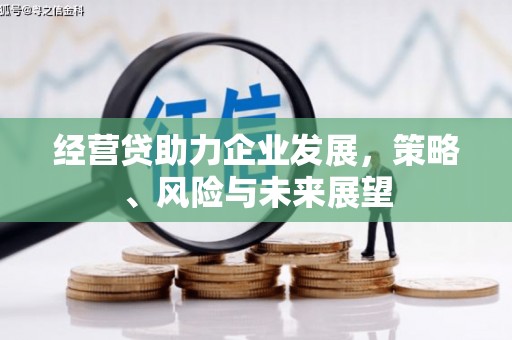 宁夏经营贷助力企业发展，策略、风险与未来展望